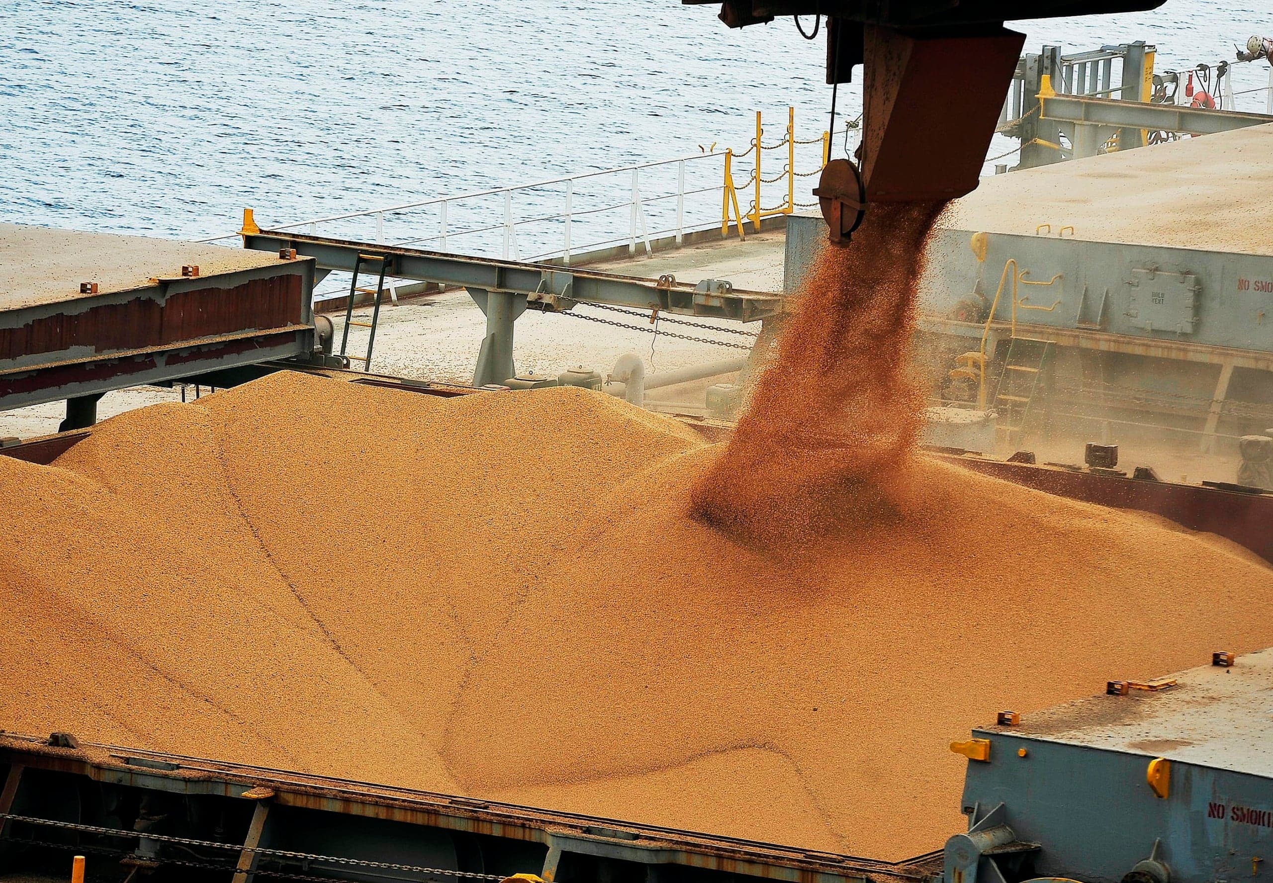 Exportação de soja do Brasil deve alcançar 14,05 milhões de toneladas em junho