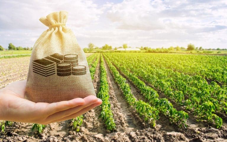 CMN altera regras de crédito rural e gera preocupações sobre acesso