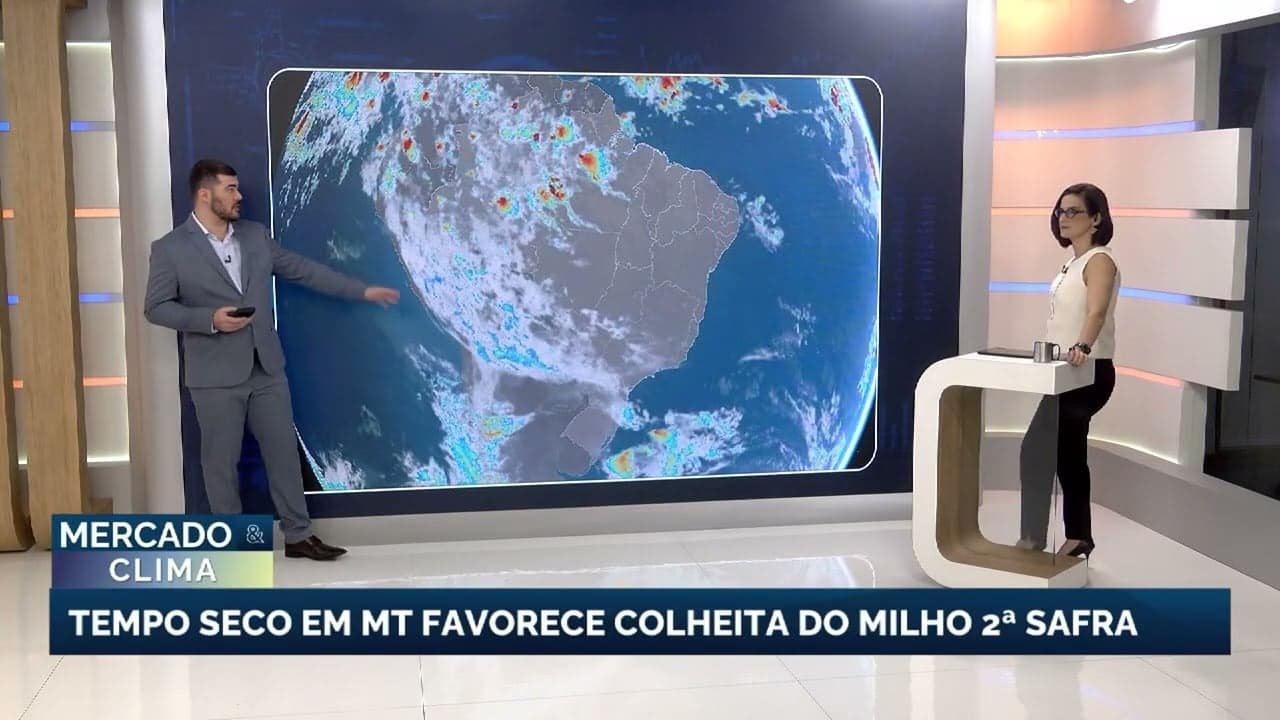 Colheita de milho avança no Brasil, mas clima traz desafios