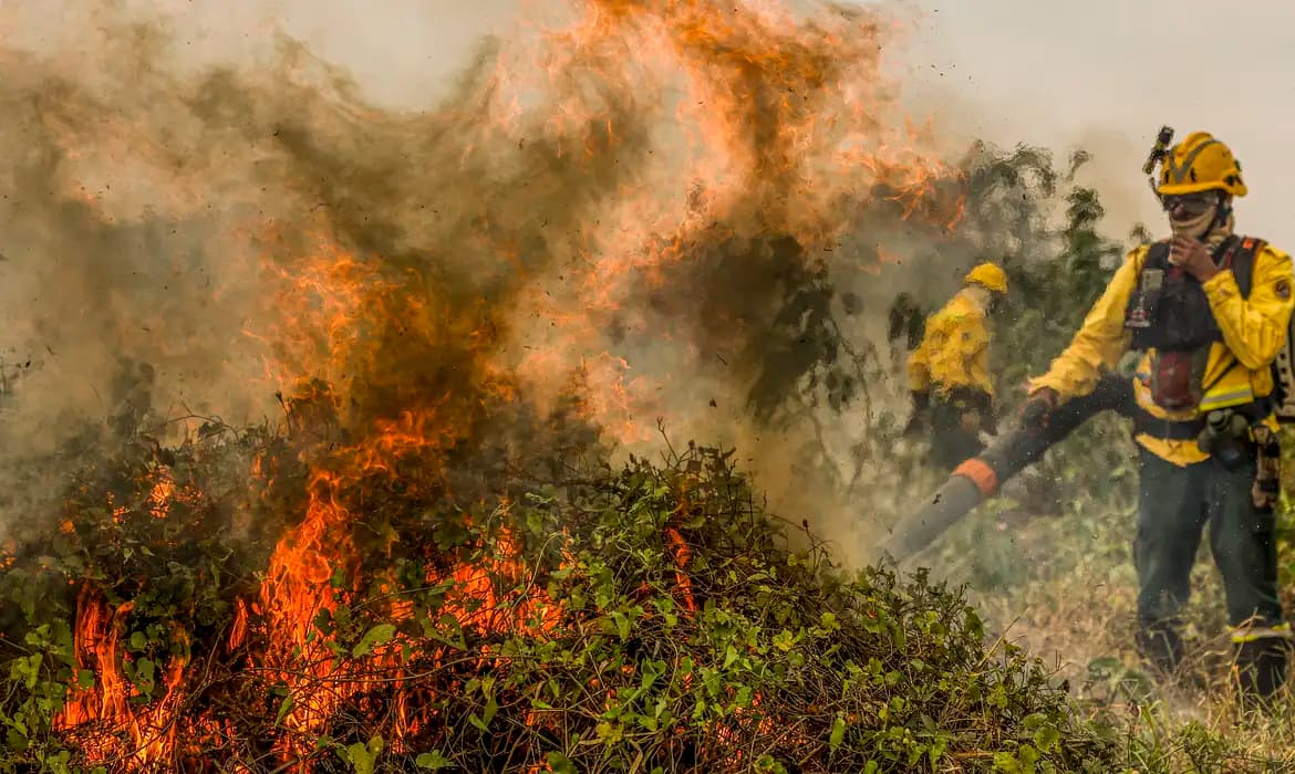 Aumentam os incêndios no Pantanal, com 1,3 milhão de ha já consumidos
