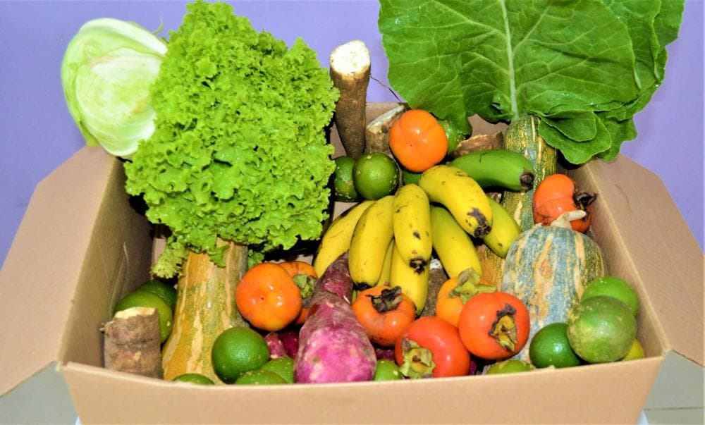 Alimentos e Bebidas continuam em crescimento, com aumento de 0,61% em abril no IPCA-15