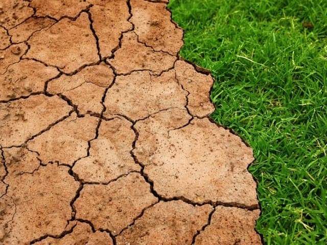 Aquecimento das águas do Pacífico indica El Niño até 2027