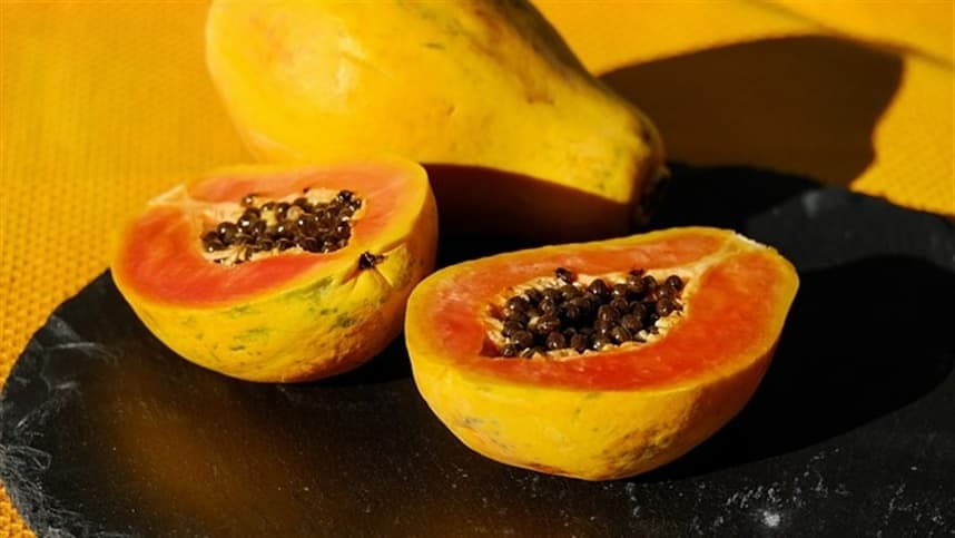 Chile amplia mercado para o mamão brasileiro