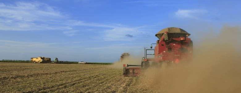 CMN adia regras sobre crédito rural e desmatamento ilegal