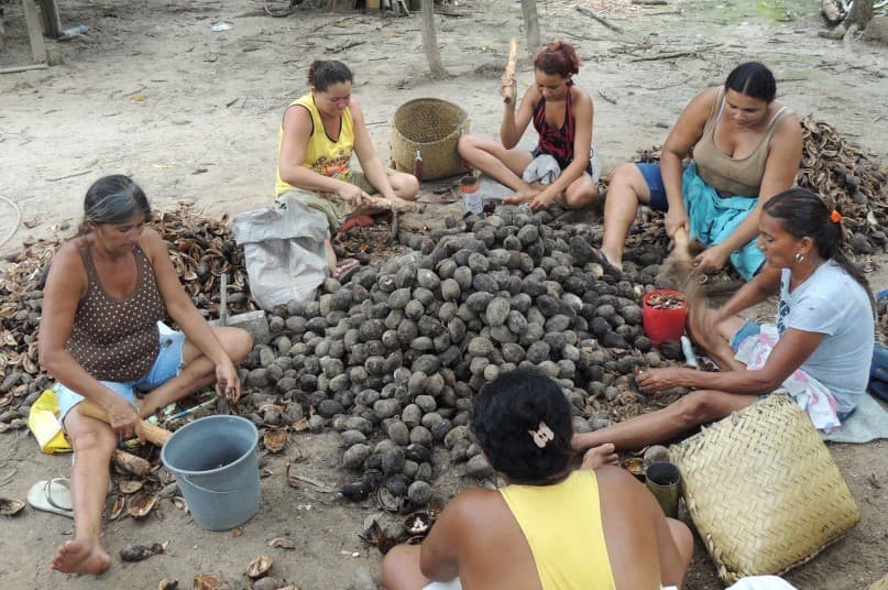Produtores orgânicos caem 5,7% no Brasil em 2026