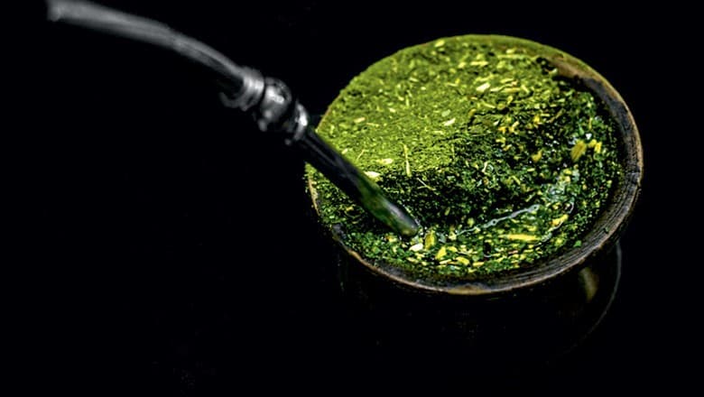 Deputado experimenta chimarrão com cannabis no RS e gera curiosidade