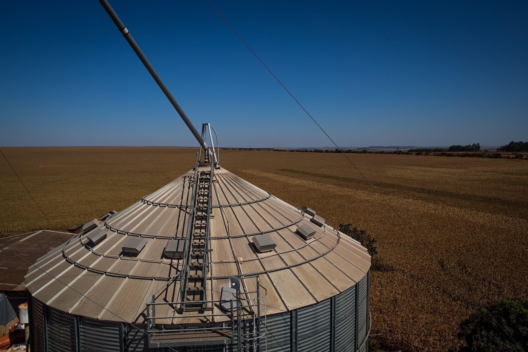 Capacidade de armazenamento do Brasil atinge 210,5 milhões de toneladas