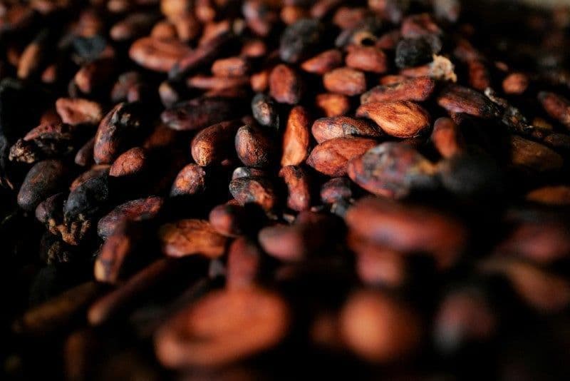 Cacau registra alta, enquanto algodão fecha em queda na NYSE
