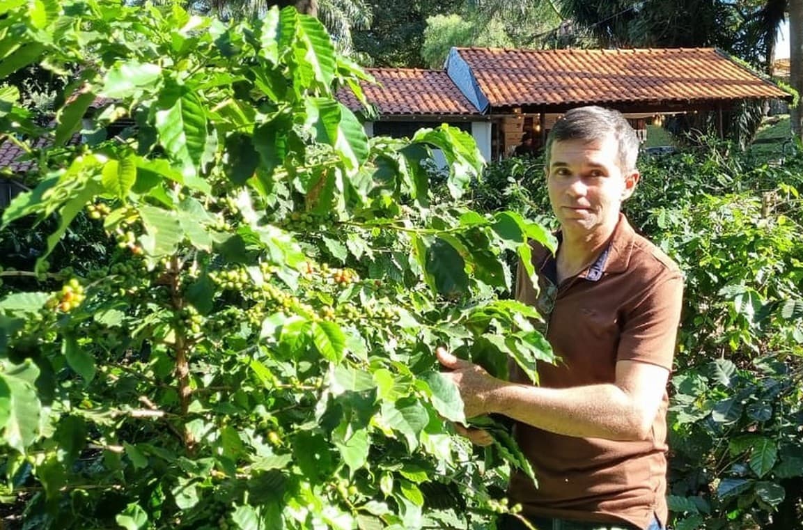 Carlópolis se destaca na cafeicultura regenerativa no Paraná