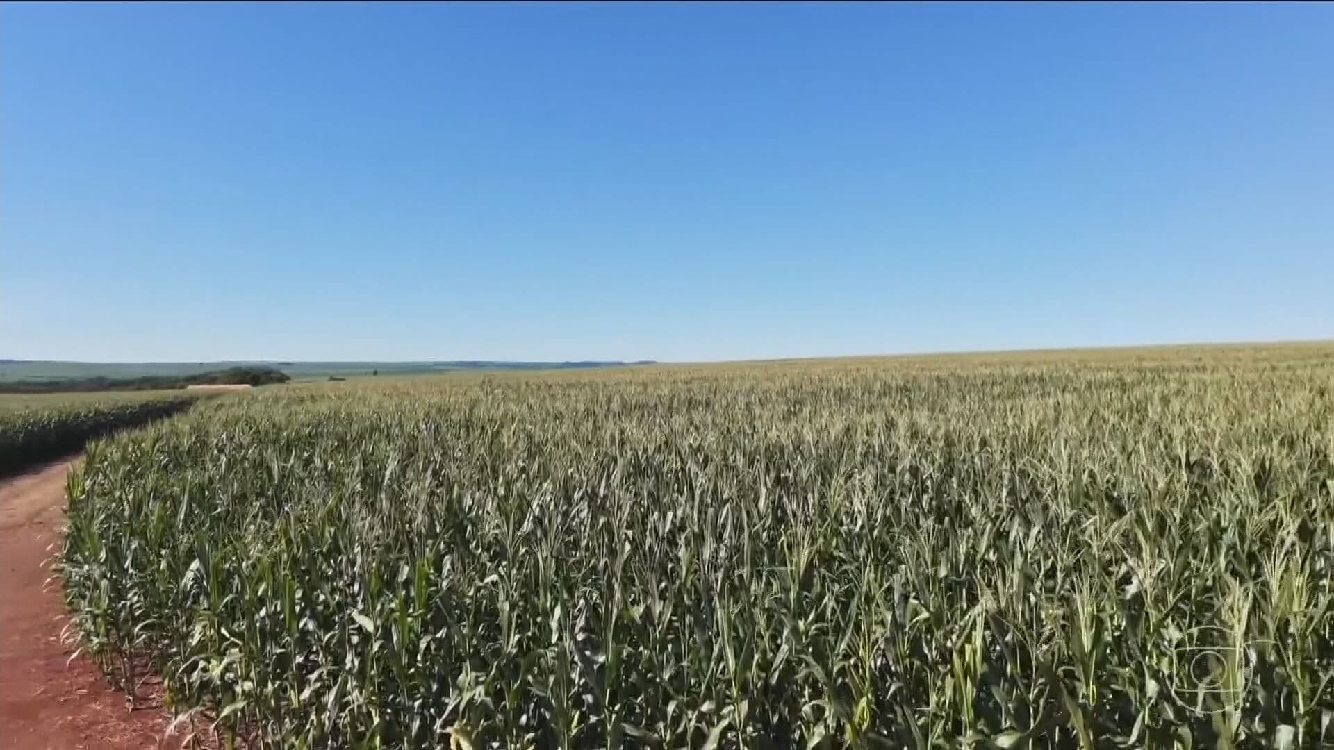 El Niño pode impactar safras agrícolas em 2026