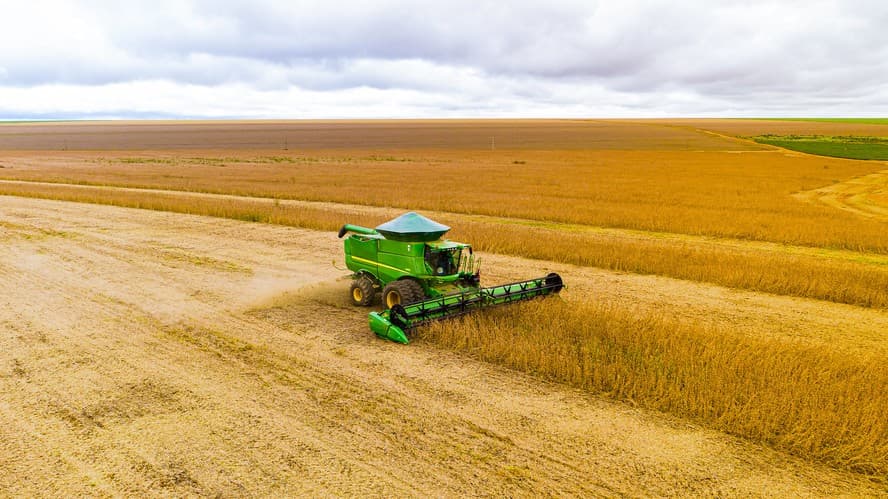USDA mantém previsão de safra de soja robusta no Brasil apesar de desafios climáticos