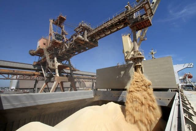 Exportações de soja do Brasil podem atingir 13,757 milhões de toneladas