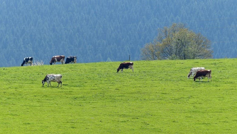 Relatório alerta sobre riscos para agricultura da UE e Reino Unido