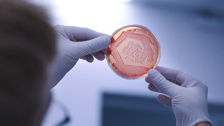 Bioinsumos avançam, mas bioherbicidas ainda carecem de espaço no Brasil