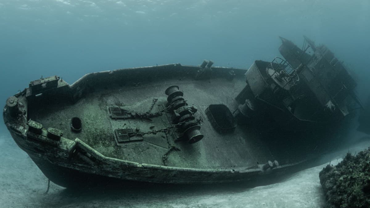 Descoberta de ruínas de navio revela história de sobrevivência na Ilha dos Estados