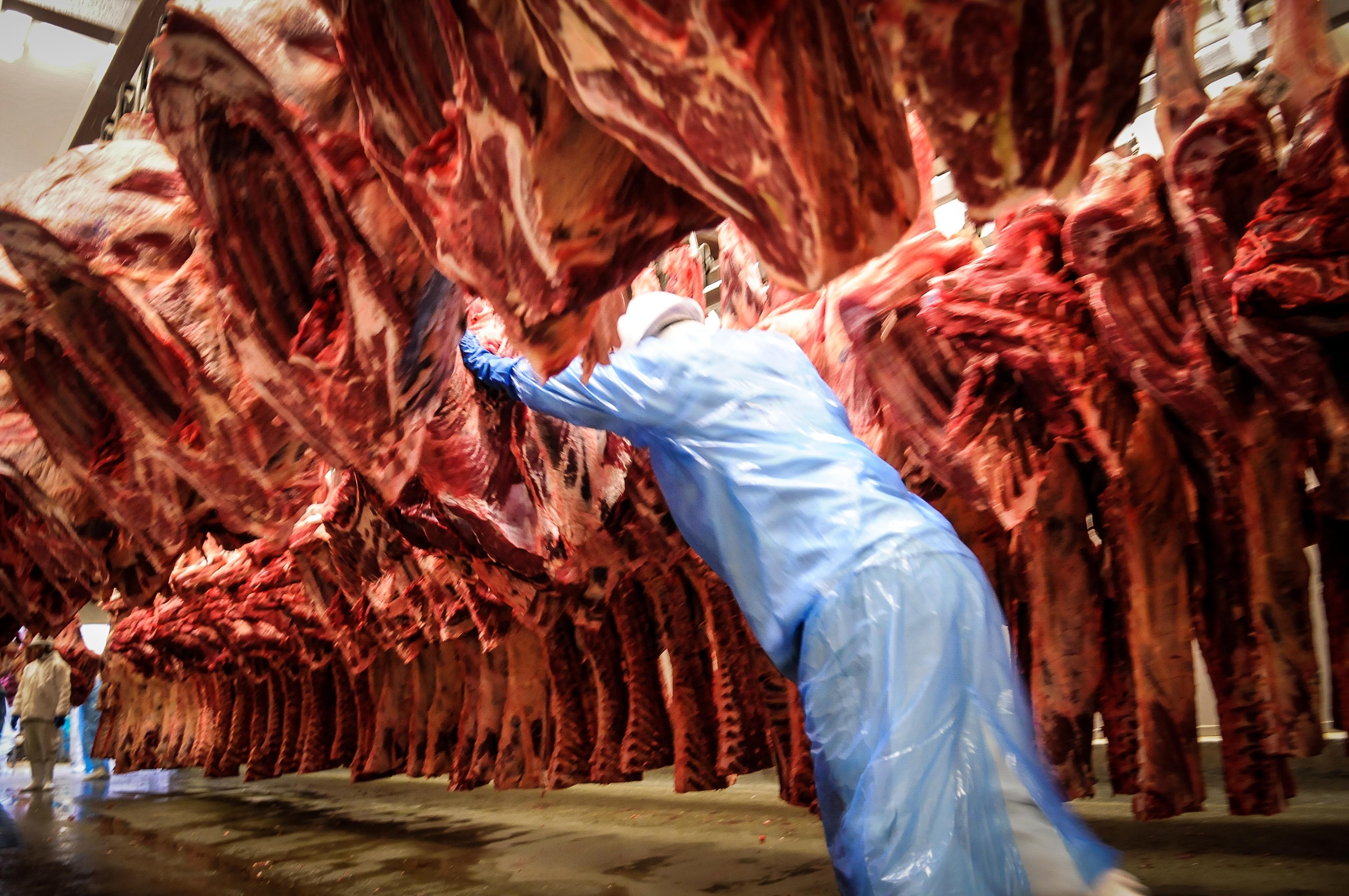 Lula enfrenta bloqueio da UE às exportações de carnes do Brasil