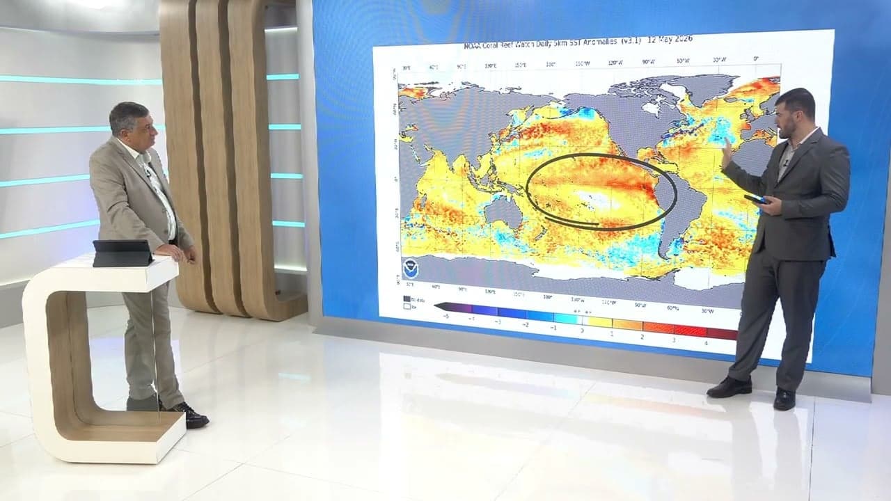Frente fria traz riscos de geada na Região Sul do Brasil