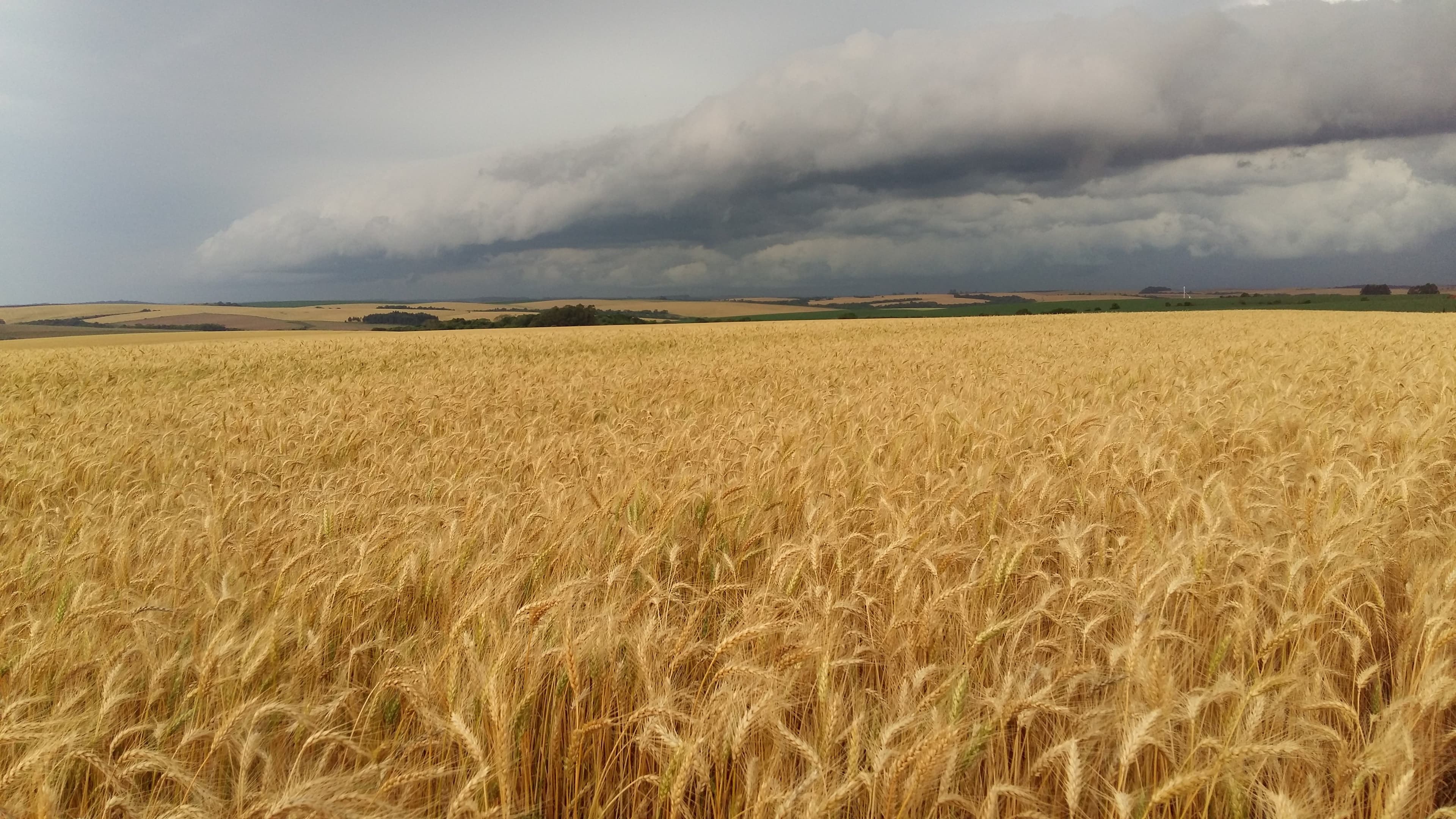 Chuvas mantêm umidade alta em áreas agrícolas do Brasil