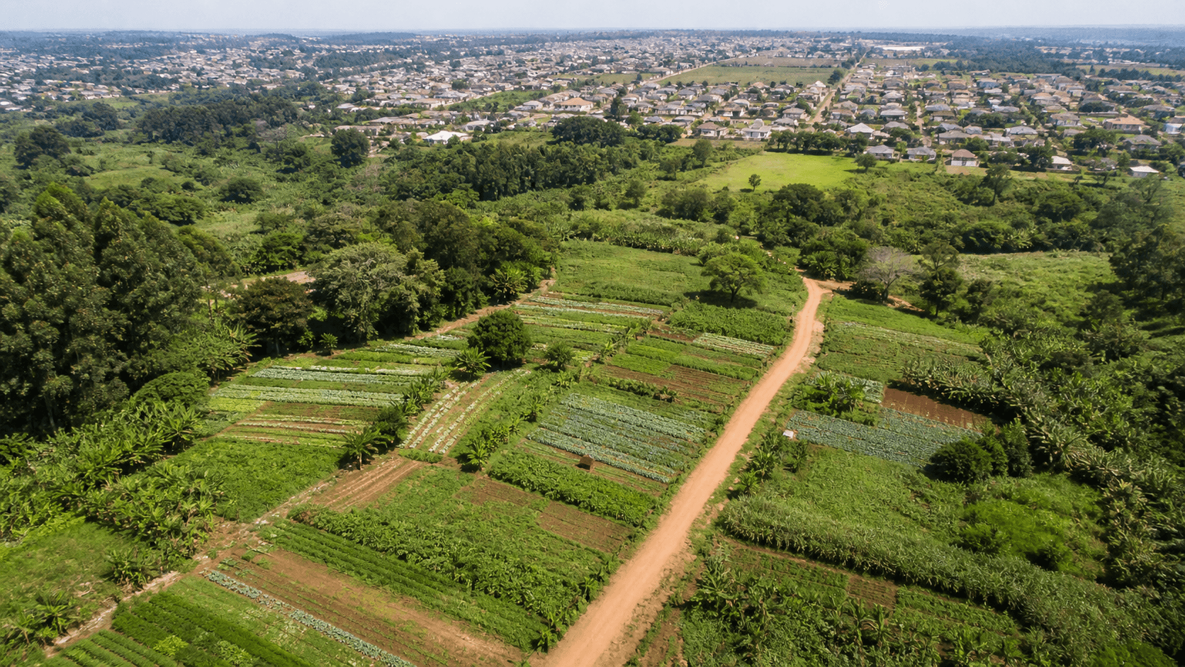 Governo desapropria Fazenda Itahyê para reforma agrária em SP