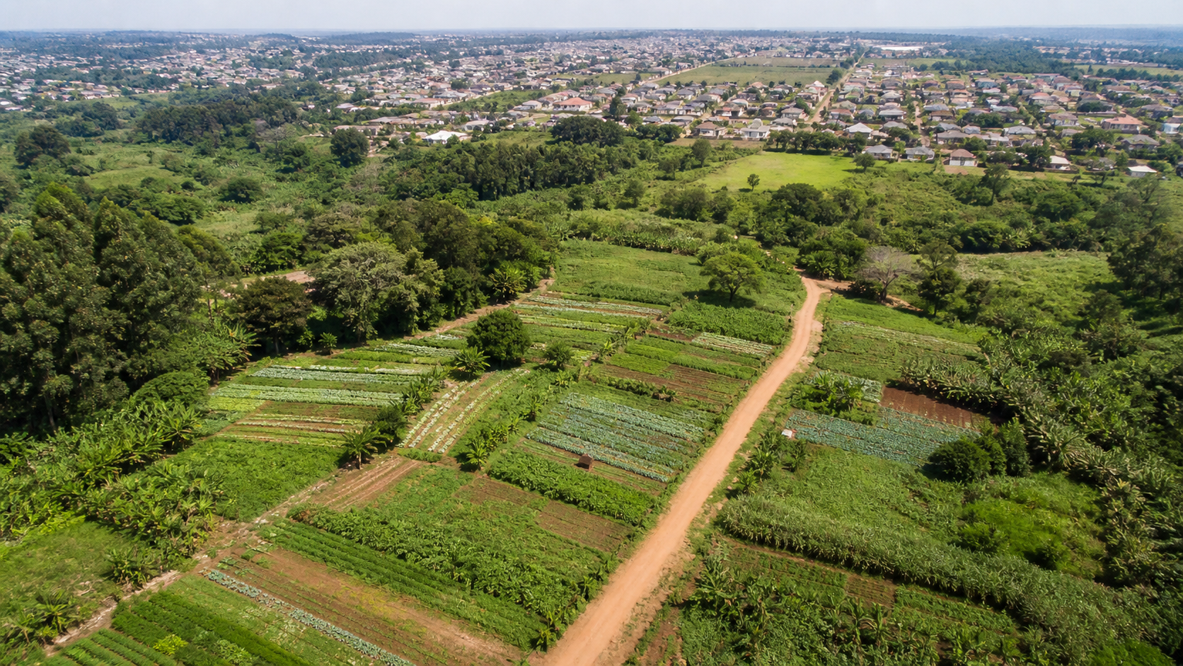 Governo desapropria Fazenda Itahyê para reforma agrária em SP
