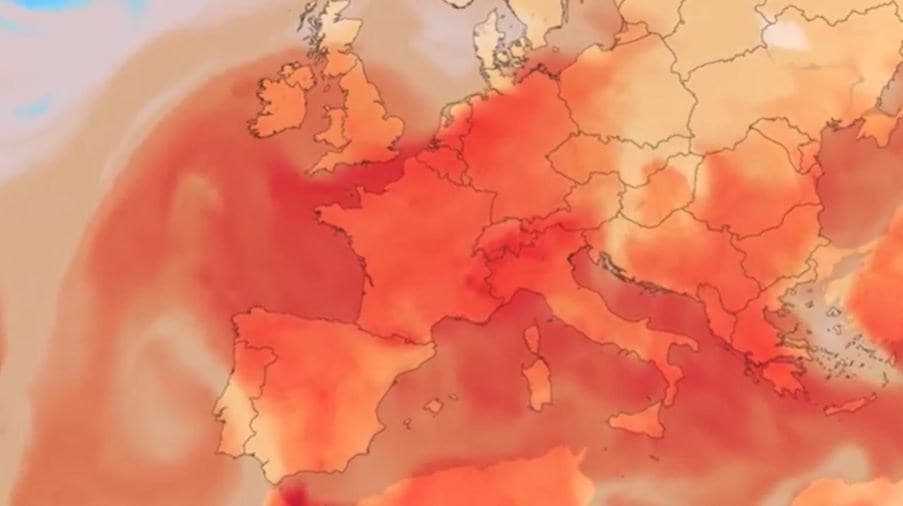 Seca e calor recordes causam danos severos à colheita no Reino Unido