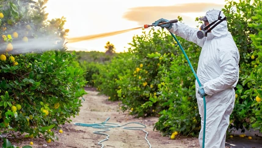 Tecpar e Adapar promovem monitoramento de agrotóxicos na hidropônia