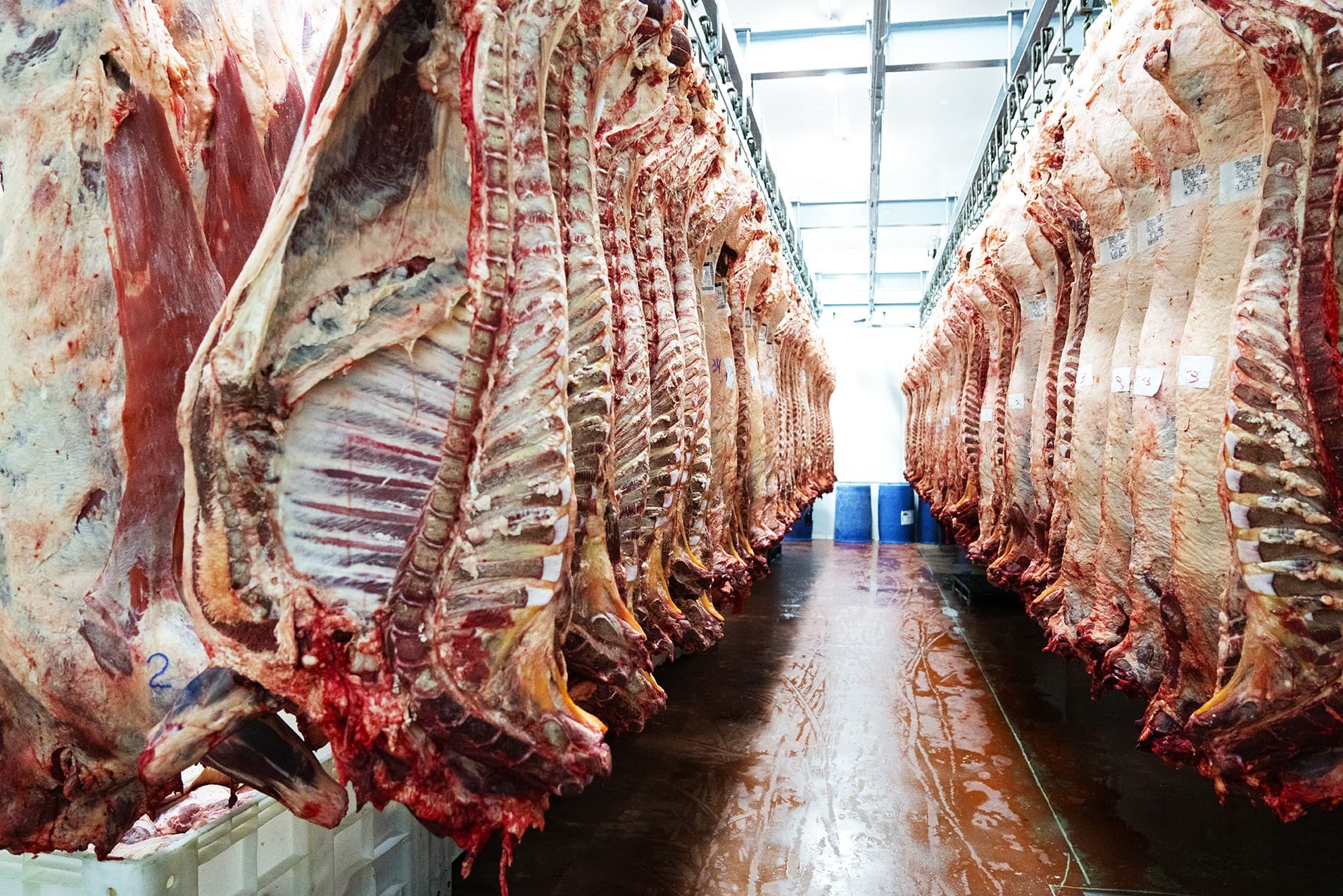 Brasil e China têm oportunidades para expandir comércio de carne bovina