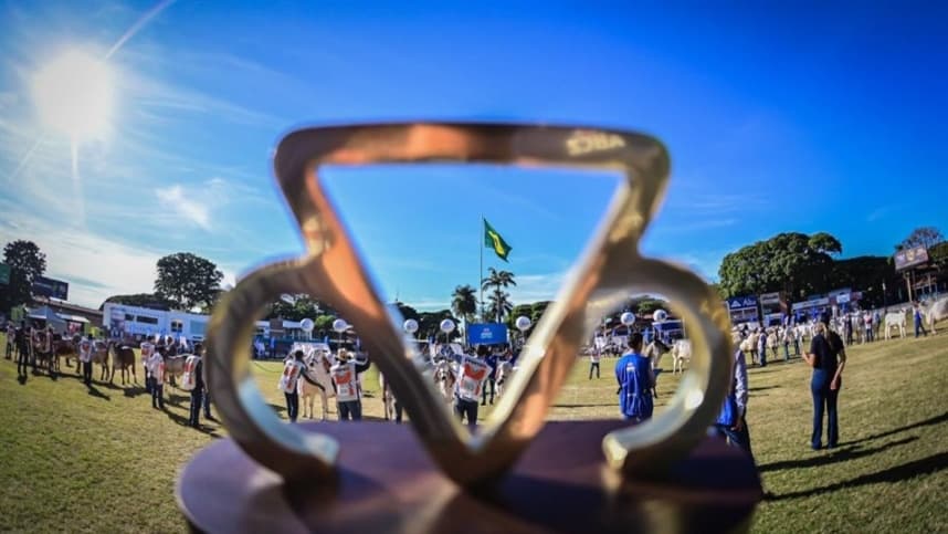 ABCZ premia tratadores na 91ª ExpoZebu em Uberaba