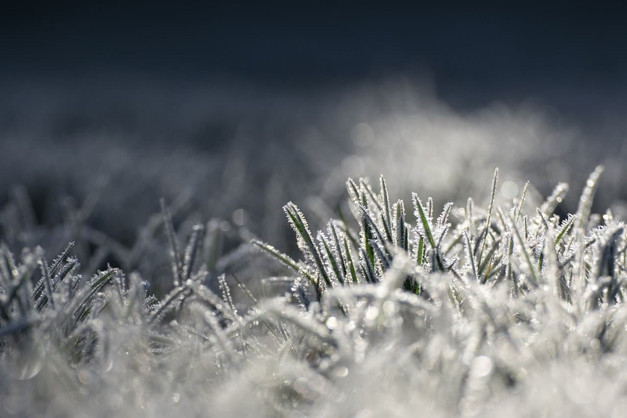 Inverno 2026 chega com intensa massa de ar polar no Brasil