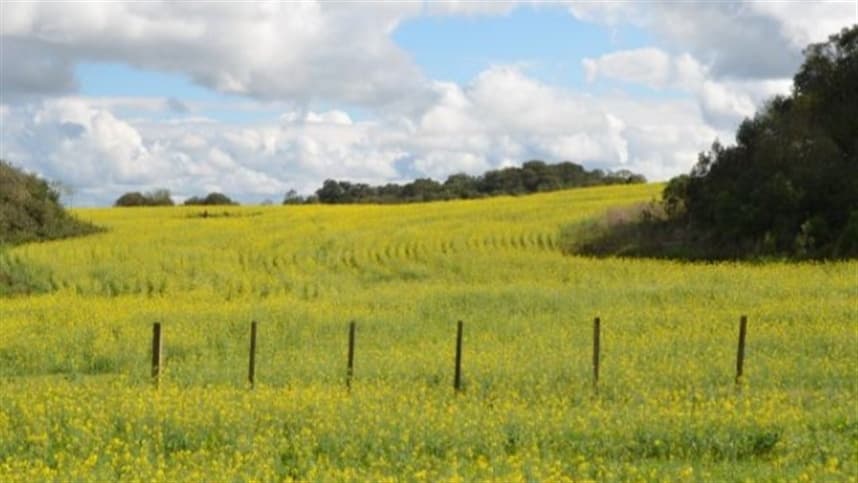Preços das terras agrícolas em Santa Catarina sobem em 2025
