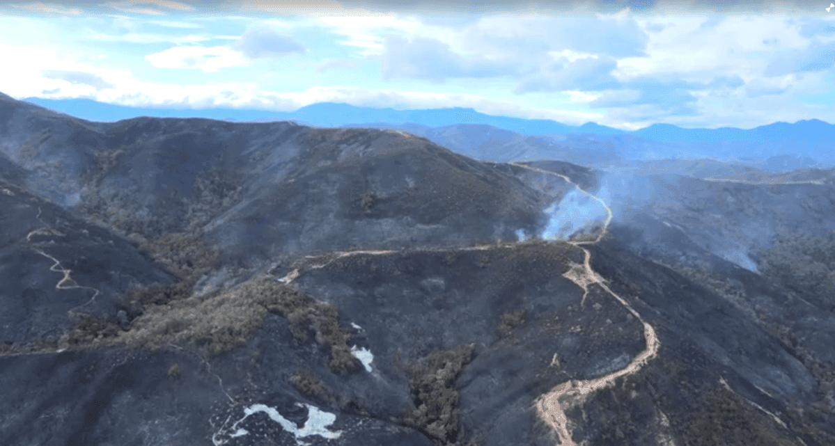 Incêndio florestal devasta 3.000 hectares na Colômbia