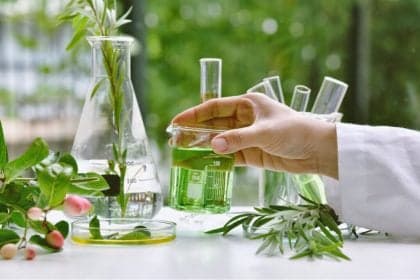 Plantas medicinais são essenciais no cuidado da saúde