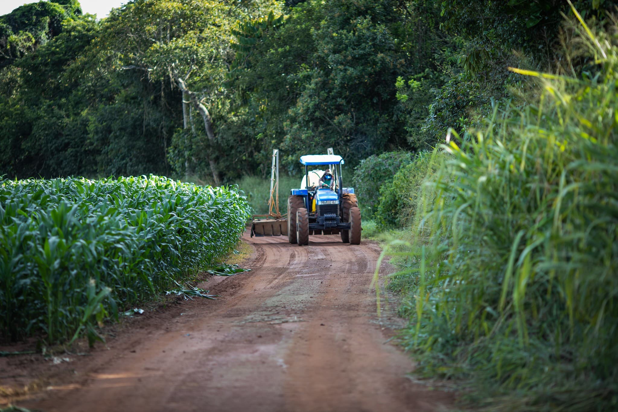 Ministério da Fazenda projeta R$ 139,8 bilhões para dívidas rurais