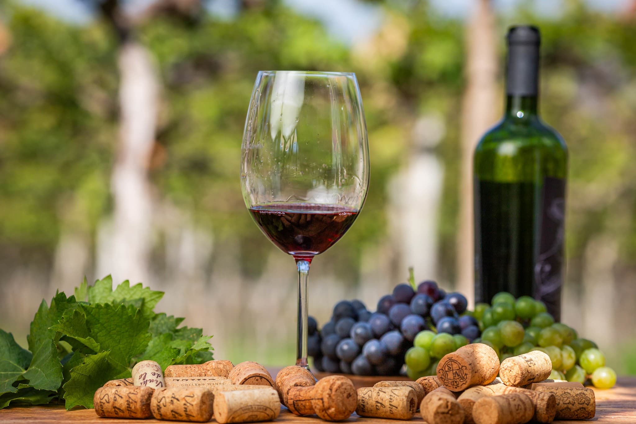 Produção de uvas no Brasil movimenta R$ 8,3 bilhões e demanda integração