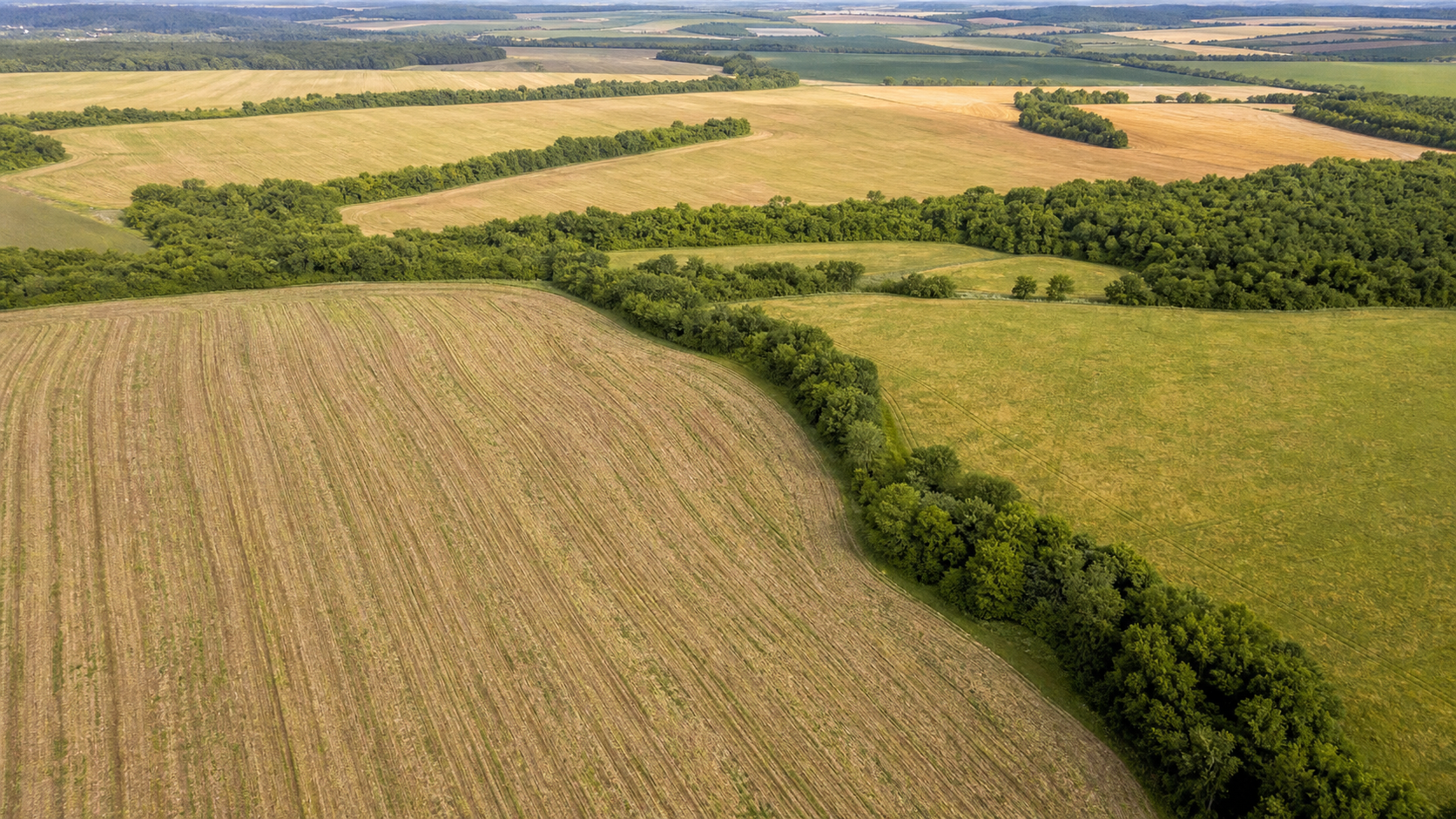 Plano ABC+ RS avança em tecnologias para reduzir emissões no agro