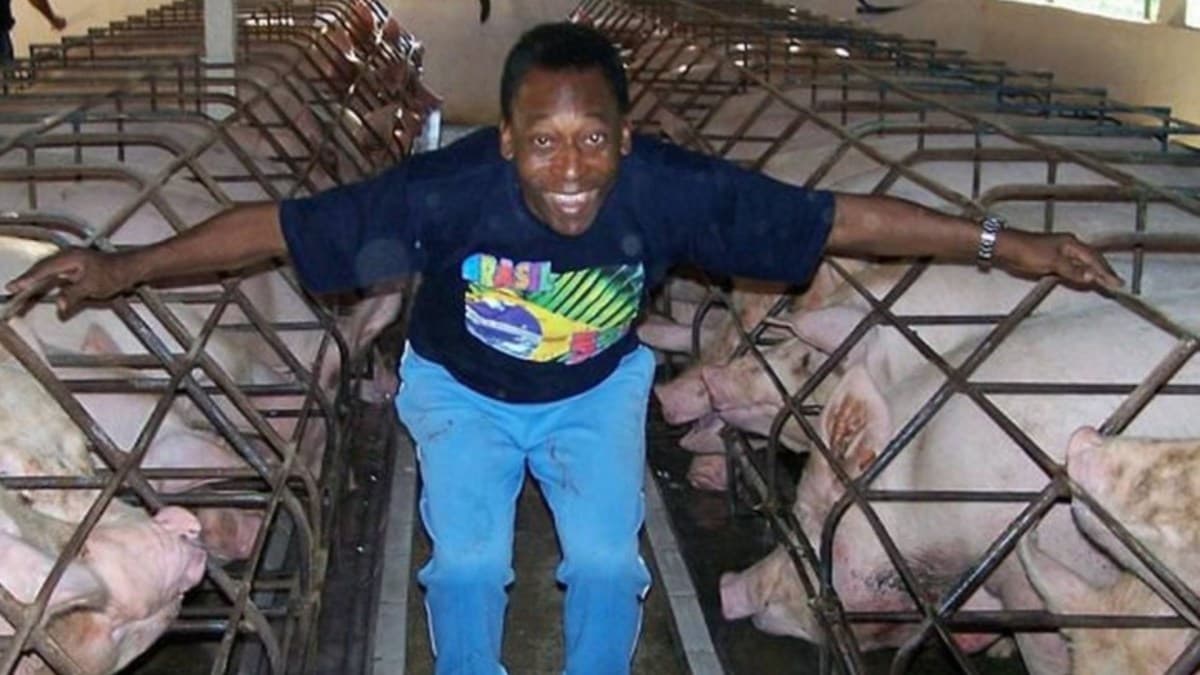 Fazenda de Pelé está à venda por R$ 35 milhões em Juquiá, SP