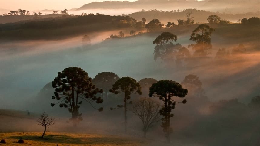 Frentes frias trazem chuvas fortes e queda de temperatura no Brasil