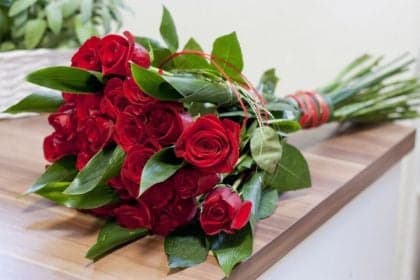 Cinco plantas que atraem amor e conexão emocional