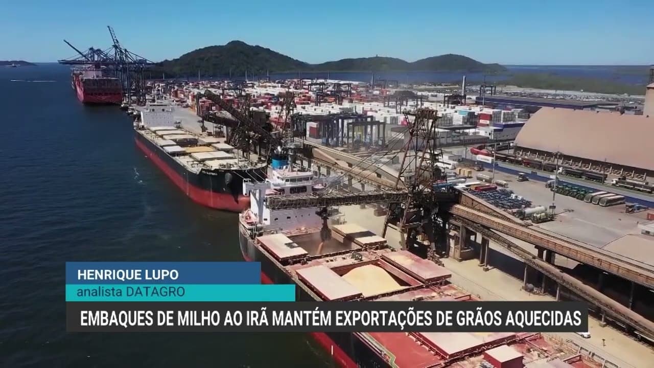 Exportações de grãos no Brasil crescem com demanda do Irã