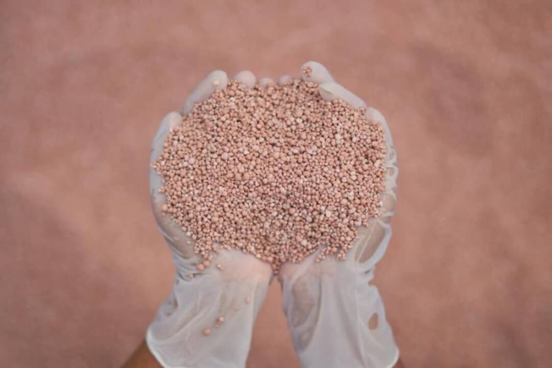 Comissão Europeia implementa plano para garantir fertilizantes na UE