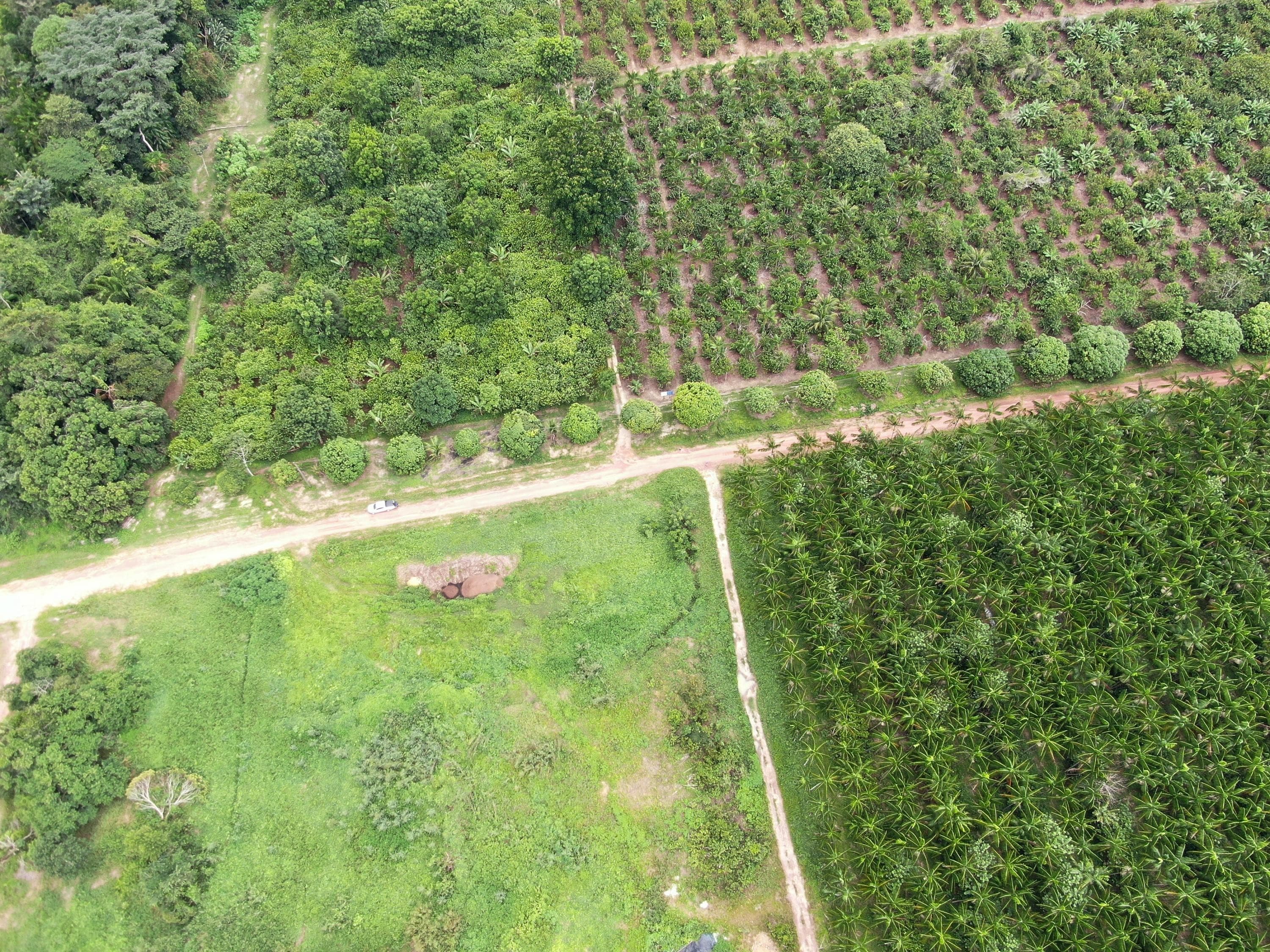 Governo libera R$ 3,1 bilhões para custeio agrícola com juros menores