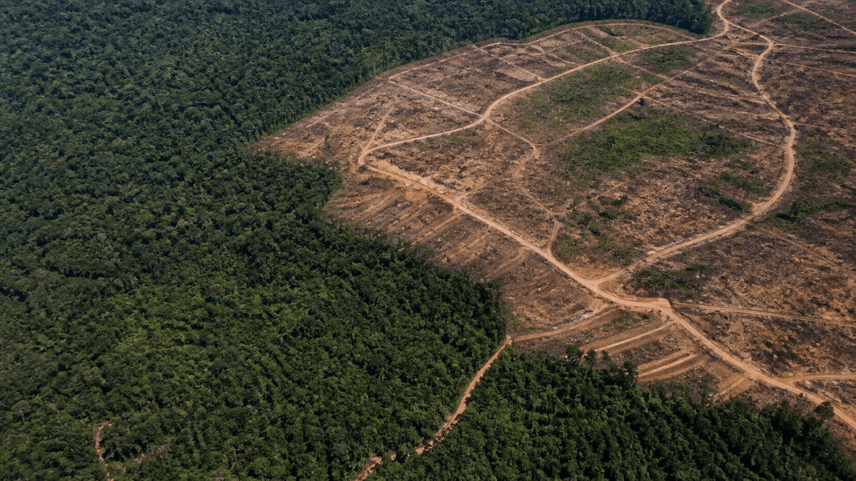 Desmatamento no Cerrado cai 18,9% em agosto de 2026, diz Inpe