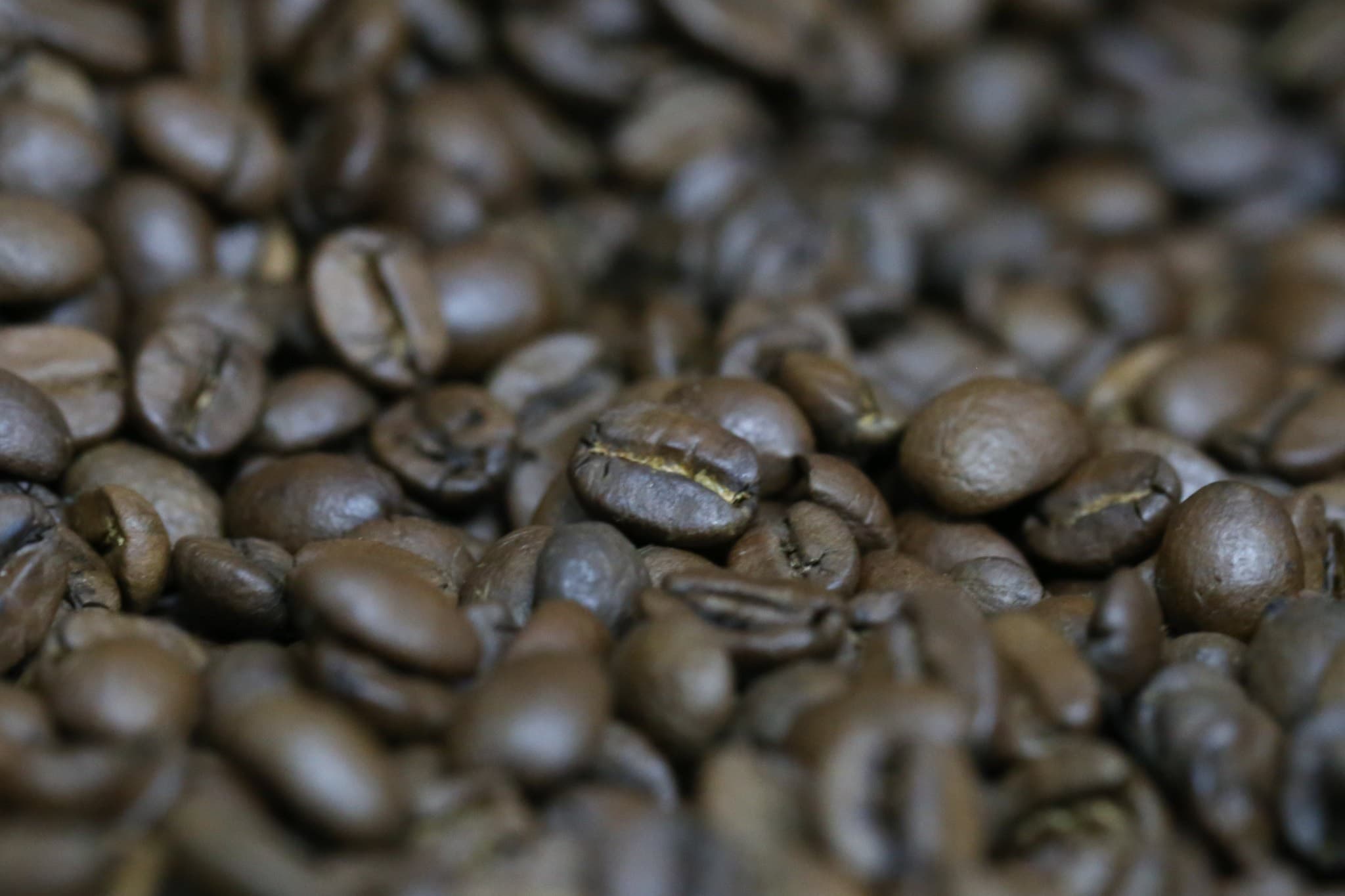 Café e outras commodities caem em NY devido à alta do dólar
