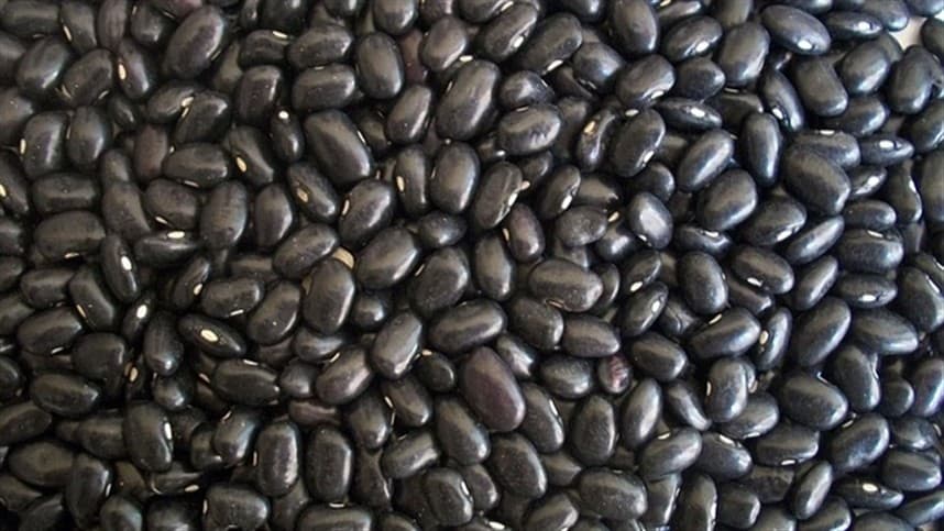 Controle de plantas daninhas é crucial antes do cultivo de feijão