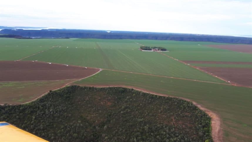 Governo planeja expansão da área agrícola