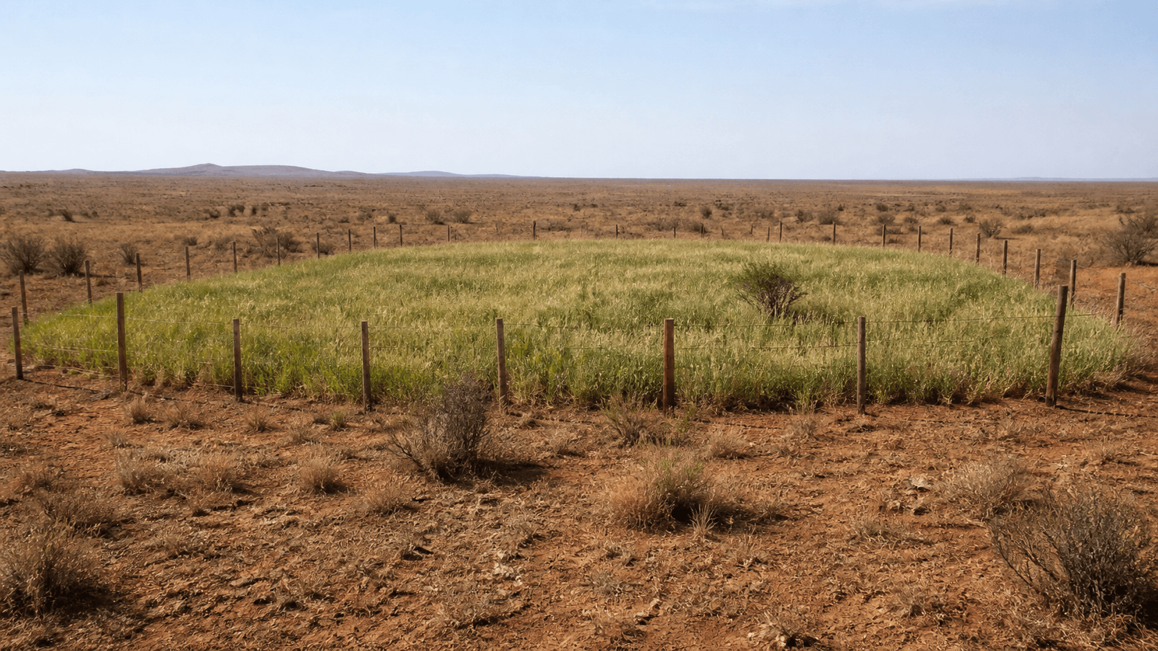 Mongólia usa fungos para recuperar terras degradadas e combater desertificação