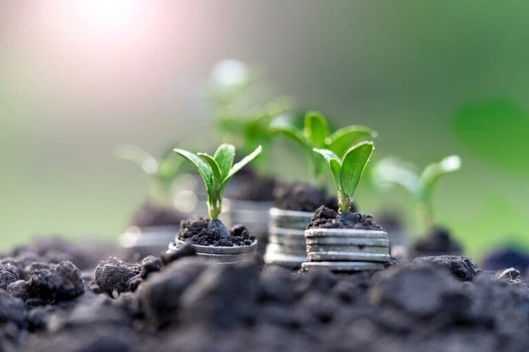 CropLife Brasil busca avanços em regulamentações agrícolas