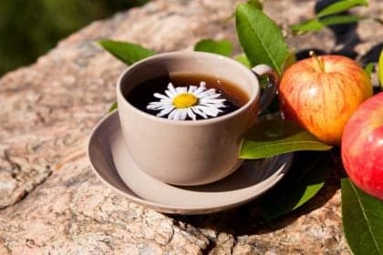 Chás de camomila: 8 receitas para aumentar o bem-estar