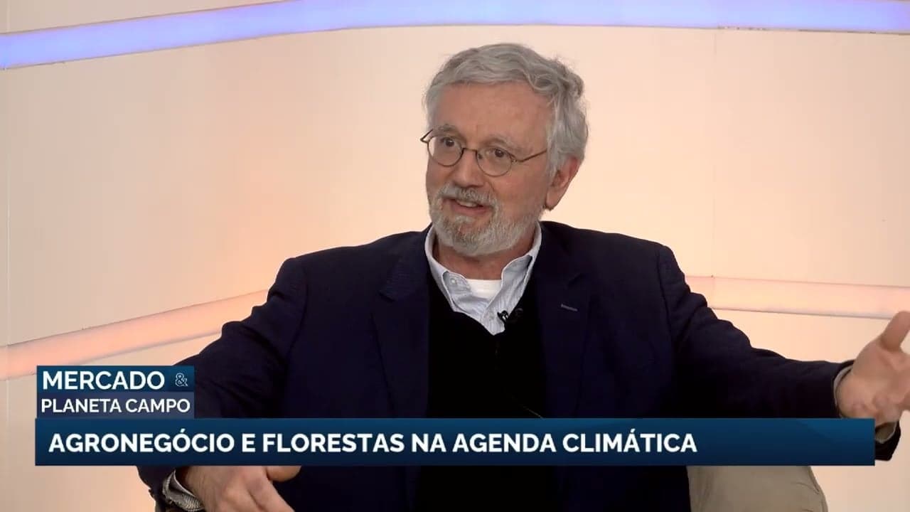 Agronegócio no Brasil: chave para a expansão florestal