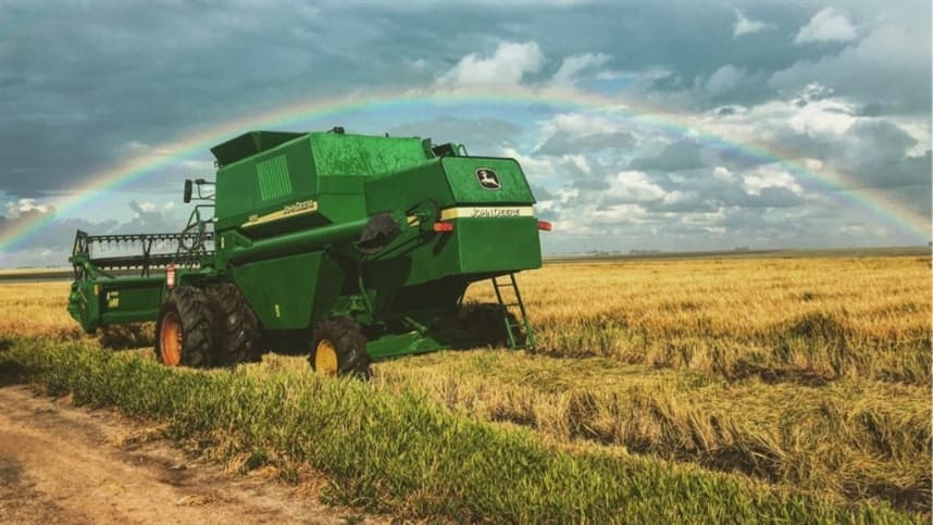 Colheita de arroz irrigado no RS acelera, indica IRGA